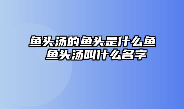 鱼头汤的鱼头是什么鱼 鱼头汤叫什么名字