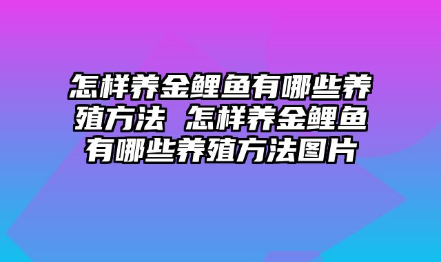 怎样养金鲤鱼有哪些养殖方法 怎样养金鲤鱼有哪些养殖方法图片