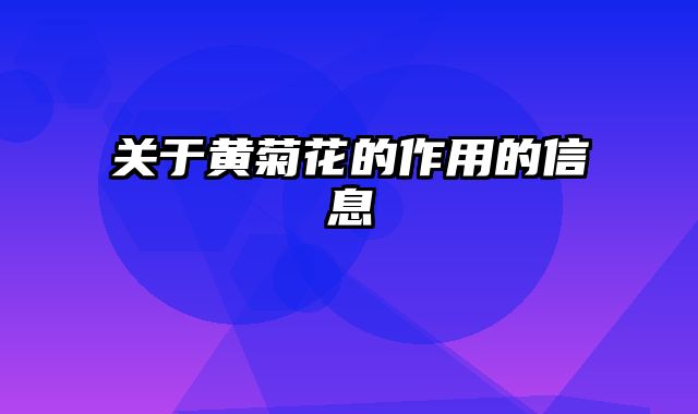 关于黄菊花的作用的信息
