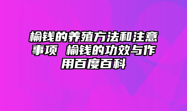 榆钱的养殖方法和注意事项 榆钱的功效与作用百度百科