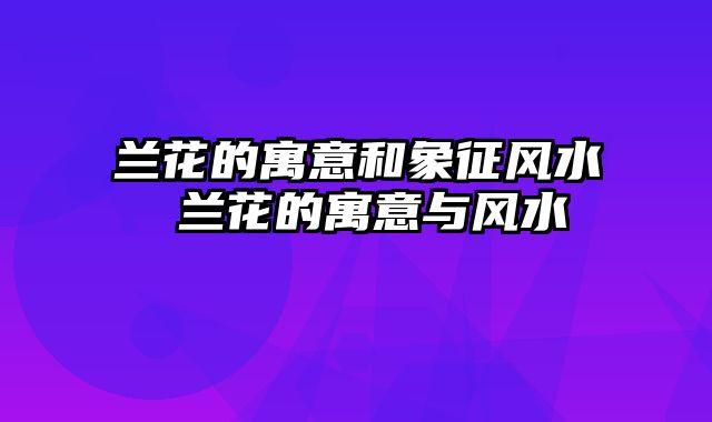 兰花的寓意和象征风水 兰花的寓意与风水