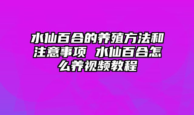 水仙百合的养殖方法和注意事项 水仙百合怎么养视频教程