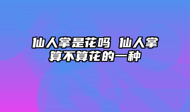 仙人掌是花吗 仙人掌算不算花的一种
