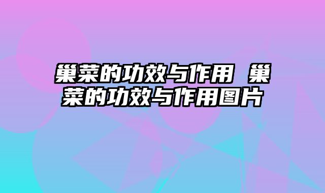 巢菜的功效与作用 巢菜的功效与作用图片