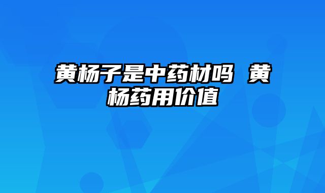 黄杨子是中药材吗 黄杨药用价值