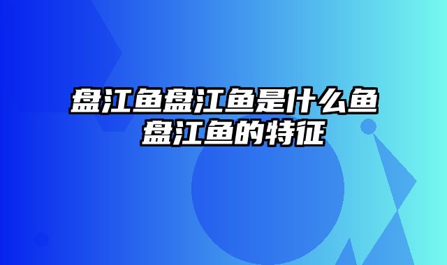 盘江鱼盘江鱼是什么鱼 盘江鱼的特征