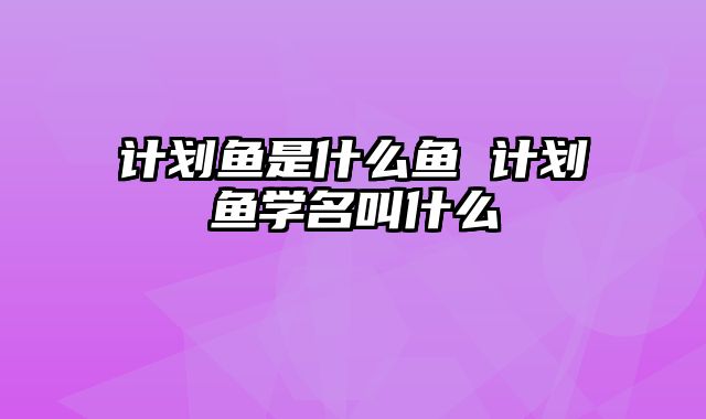 计划鱼是什么鱼 计划鱼学名叫什么