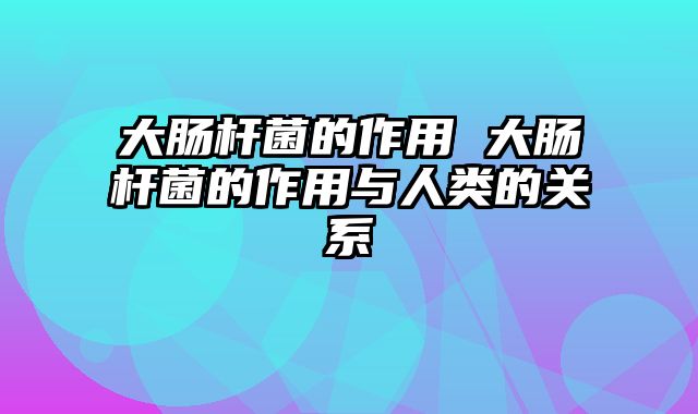 大肠杆菌的作用 大肠杆菌的作用与人类的关系