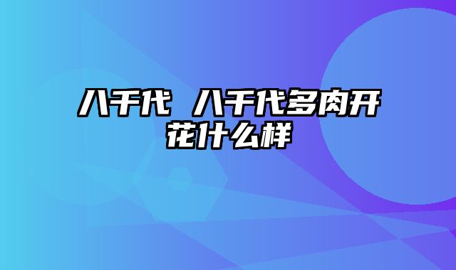 八千代 八千代多肉开花什么样