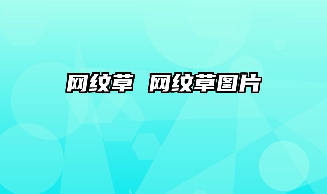 网纹草 网纹草图片