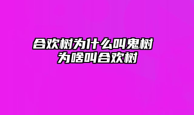 合欢树为什么叫鬼树 为啥叫合欢树
