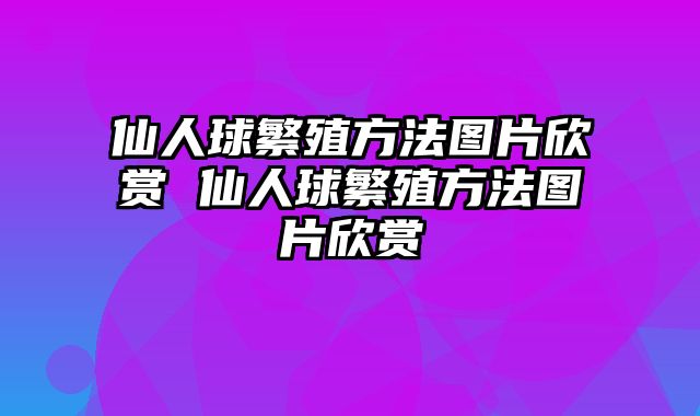 仙人球繁殖方法图片欣赏 仙人球繁殖方法图片欣赏