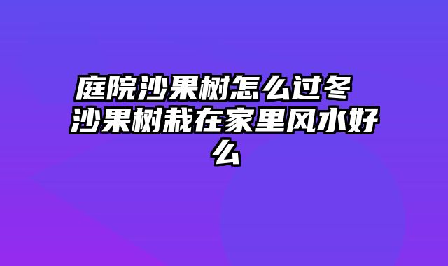 庭院沙果树怎么过冬 沙果树栽在家里风水好么