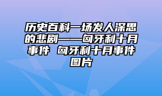 历史百科一场发人深思的悲剧——匈牙利十月事件 匈牙利十月事件图片