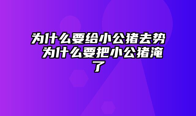 为什么要给小公猪去势 为什么要把小公猪淹了