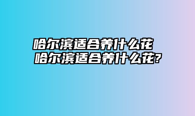 哈尔滨适合养什么花 哈尔滨适合养什么花?