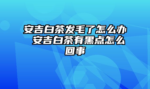 安吉白茶发毛了怎么办 安吉白茶有黑点怎么回事