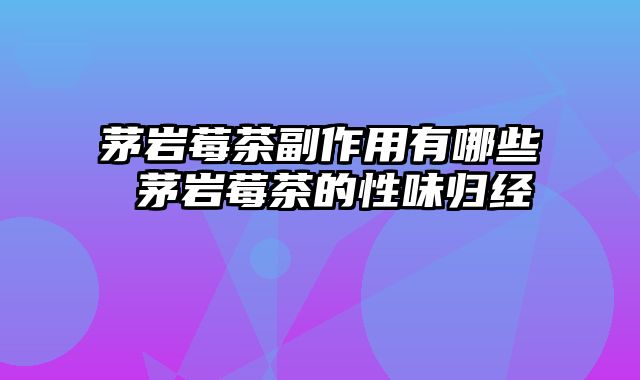 茅岩莓茶副作用有哪些 茅岩莓茶的性味归经