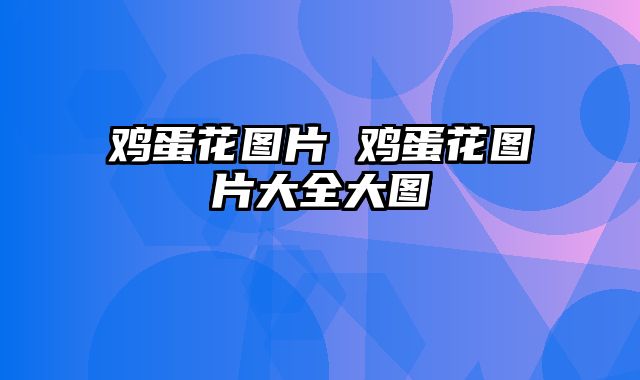 鸡蛋花图片 鸡蛋花图片大全大图