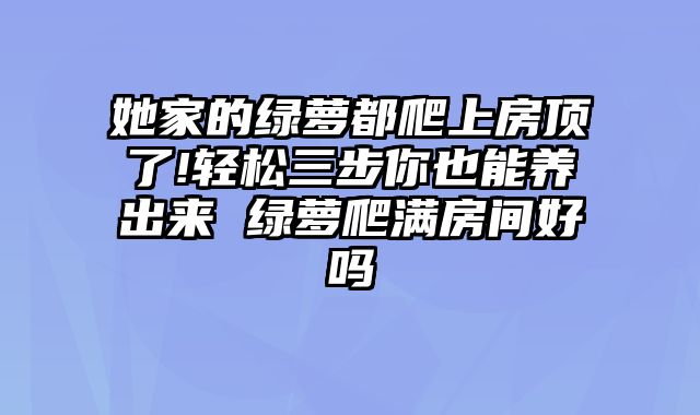 她家的绿萝都爬上房顶了!轻松三步你也能养出来 绿萝爬满房间好吗