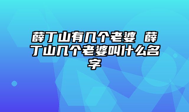 薛丁山有几个老婆 薛丁山几个老婆叫什么名字