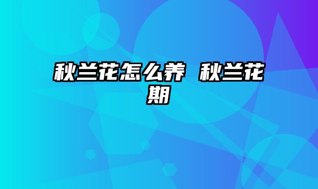 秋兰花怎么养 秋兰花期