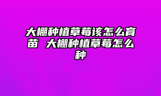 大棚种植草莓该怎么育苗 大棚种植草莓怎么种