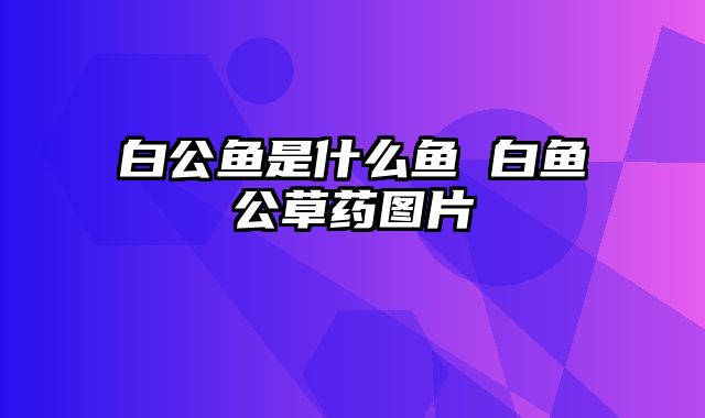 白公鱼是什么鱼 白鱼公草药图片