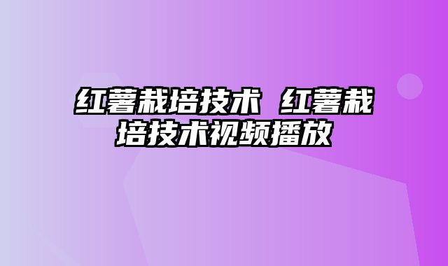 红薯栽培技术 红薯栽培技术视频播放