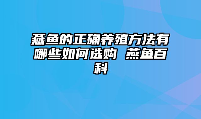 燕鱼的正确养殖方法有哪些如何选购 燕鱼百科