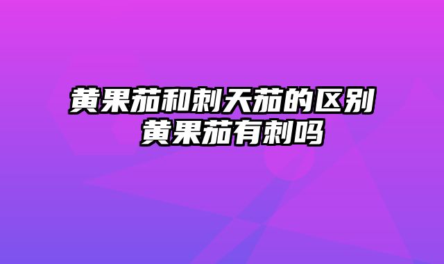 黄果茄和刺天茄的区别 黄果茄有刺吗