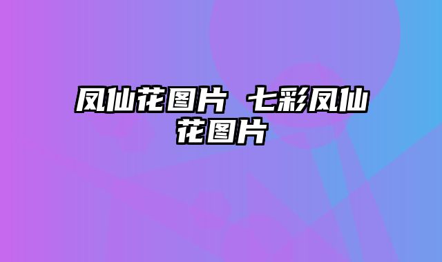 凤仙花图片 七彩凤仙花图片