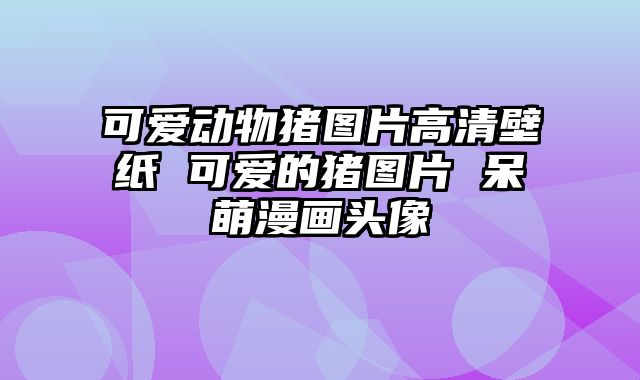 可爱动物猪图片高清壁纸 可爱的猪图片 呆萌漫画头像