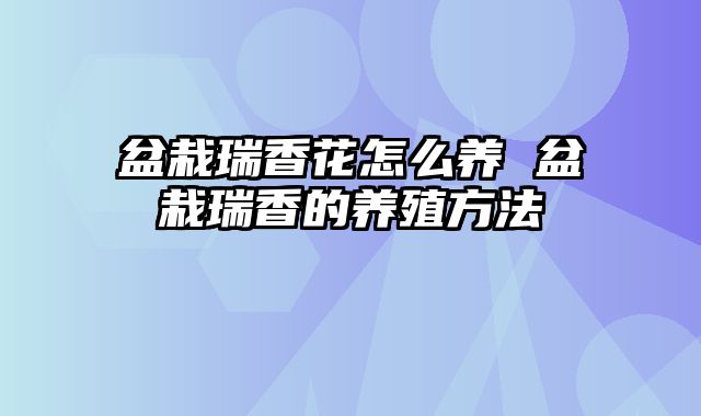 盆栽瑞香花怎么养 盆栽瑞香的养殖方法