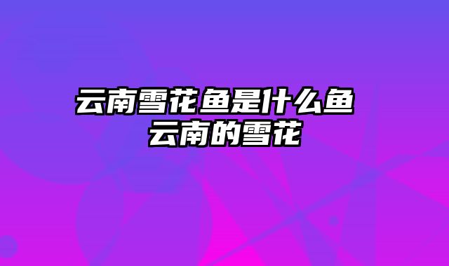 云南雪花鱼是什么鱼 云南的雪花