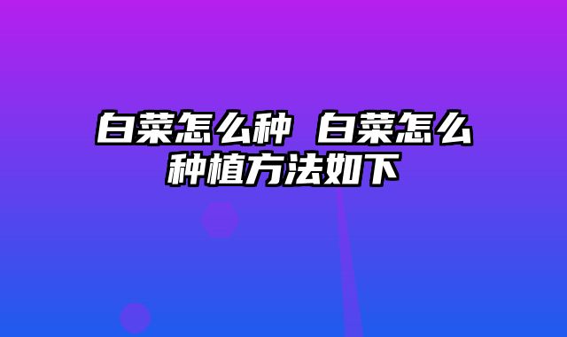 白菜怎么种 白菜怎么种植方法如下
