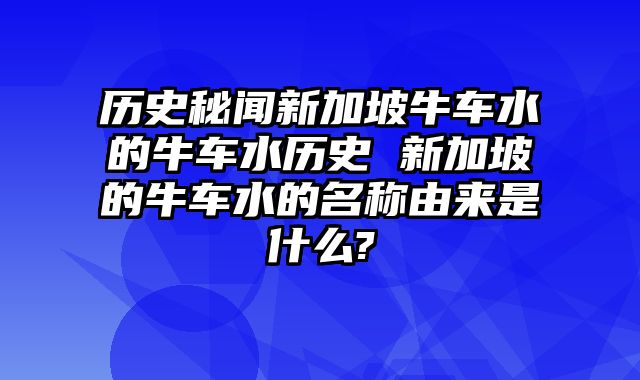历史秘闻新加坡牛车水的牛车水历史 新加坡的牛车水的名称由来是什么?