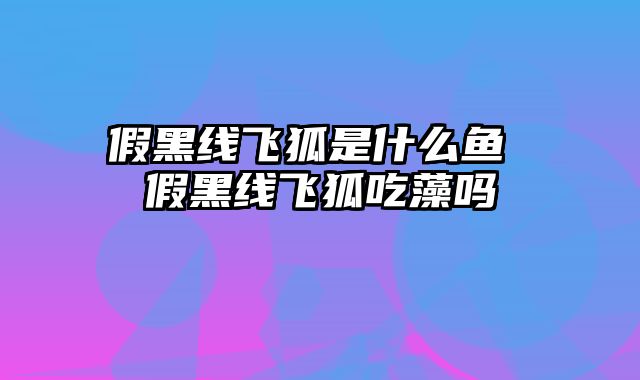 假黑线飞狐是什么鱼 假黑线飞狐吃藻吗