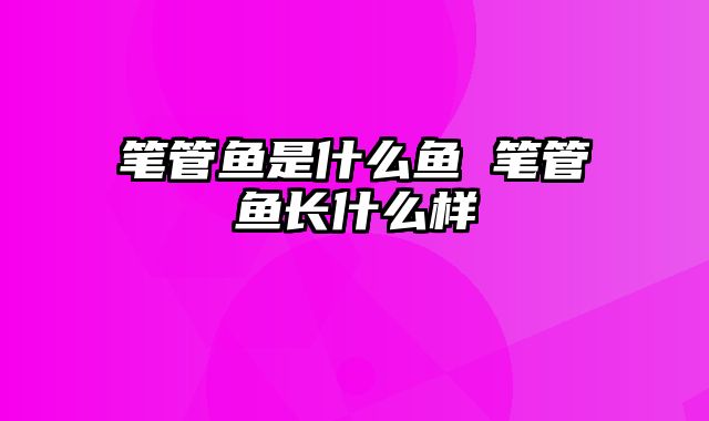 笔管鱼是什么鱼 笔管鱼长什么样