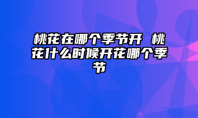 桃花在哪个季节开 桃花什么时候开花哪个季节