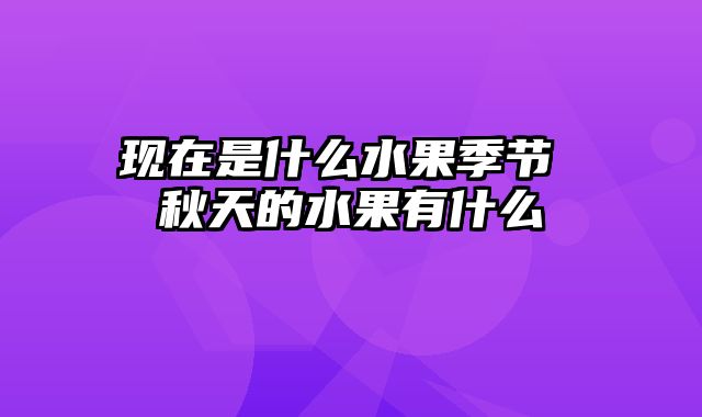 现在是什么水果季节 秋天的水果有什么