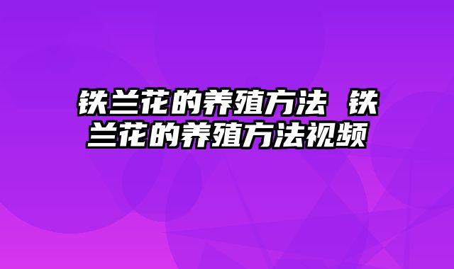 铁兰花的养殖方法 铁兰花的养殖方法视频