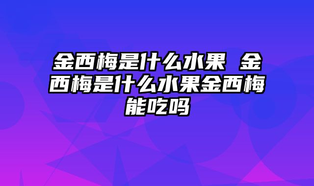 金西梅是什么水果 金西梅是什么水果金西梅能吃吗