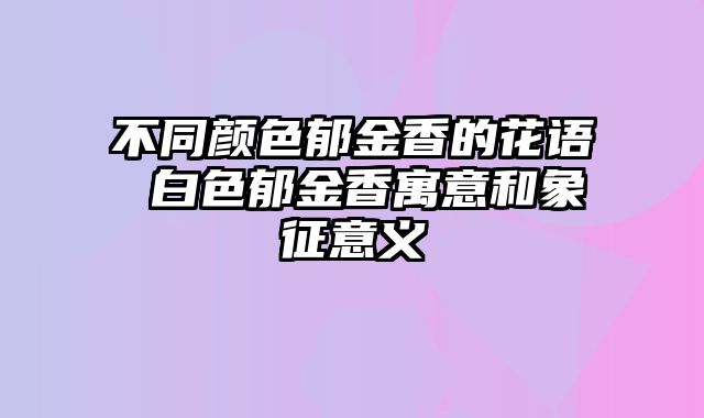 不同颜色郁金香的花语 白色郁金香寓意和象征意义
