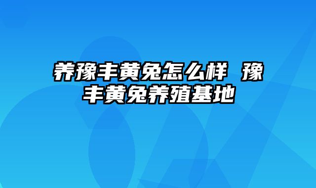 养豫丰黄兔怎么样 豫丰黄兔养殖基地