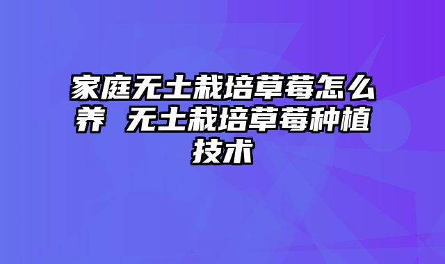 家庭无土栽培草莓怎么养 无土栽培草莓种植技术