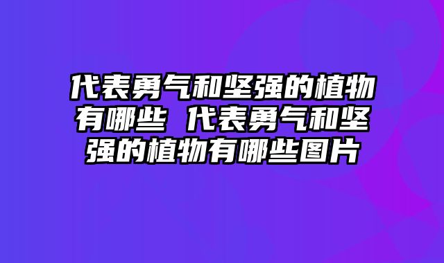 代表勇气和坚强的植物有哪些 代表勇气和坚强的植物有哪些图片