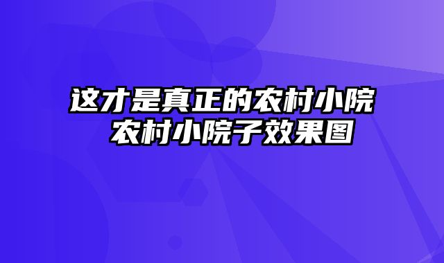 这才是真正的农村小院 农村小院子效果图