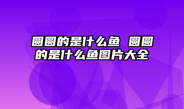 圆圆的是什么鱼 圆圆的是什么鱼图片大全