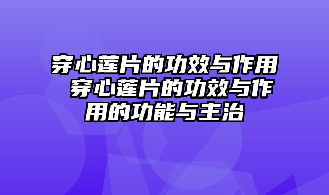 穿心莲片的功效与作用 穿心莲片的功效与作用的功能与主治